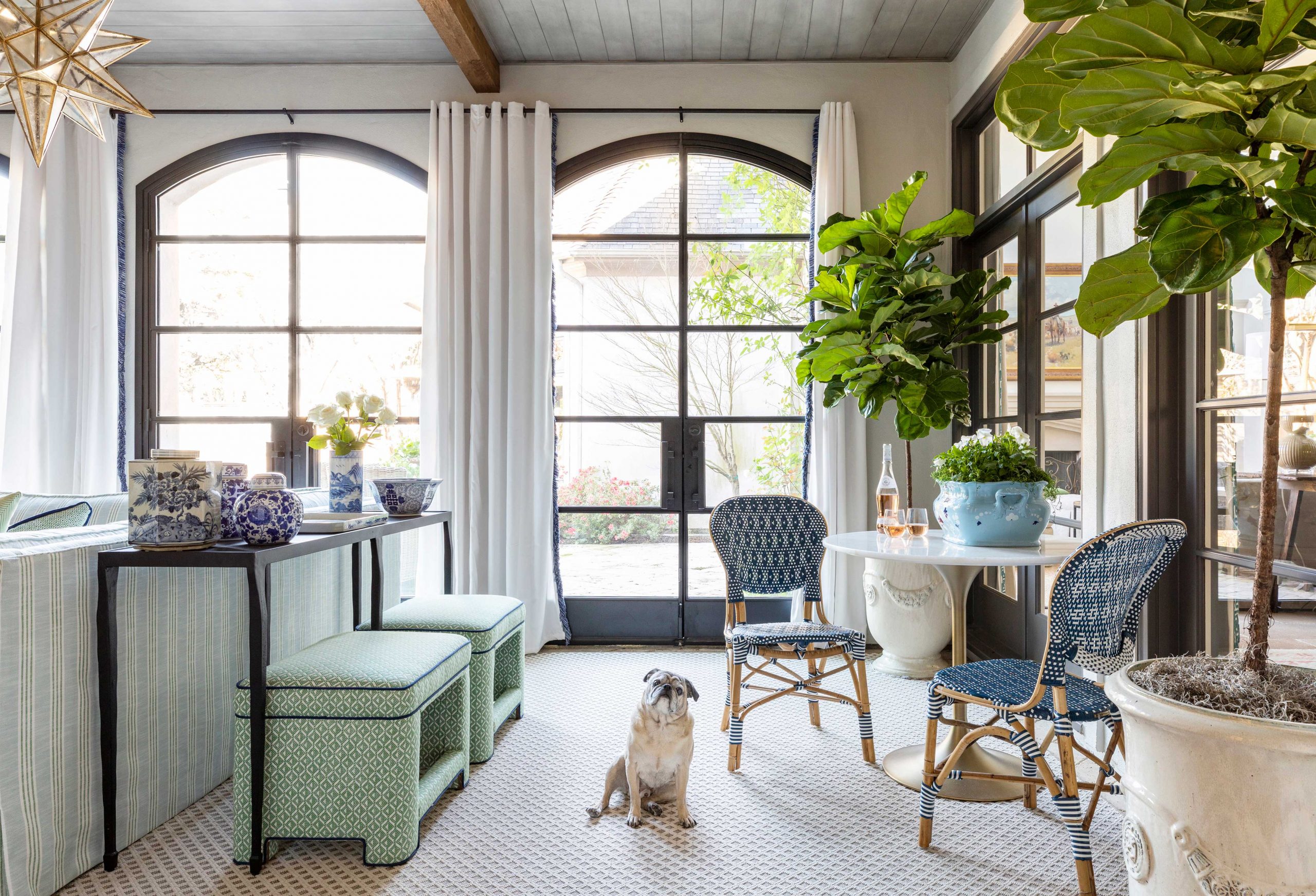 bright living room with puppy - Creative Tonic