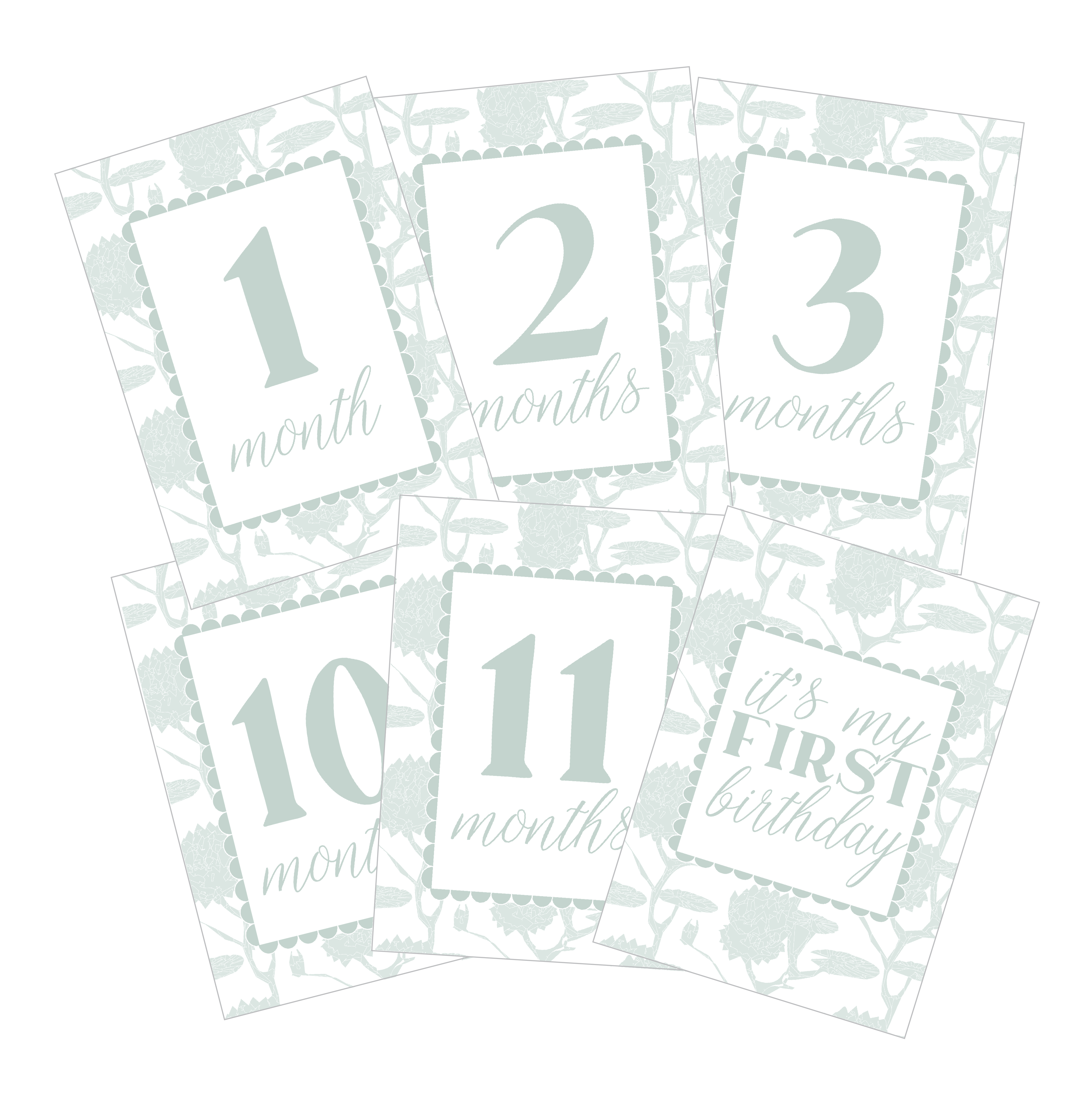 milestone cards baby