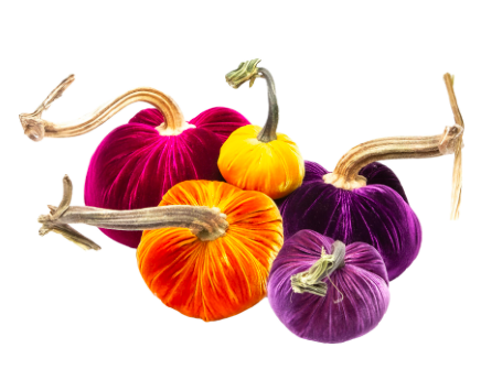purple pumpkin set