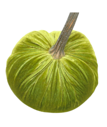 velvet pumpkin
