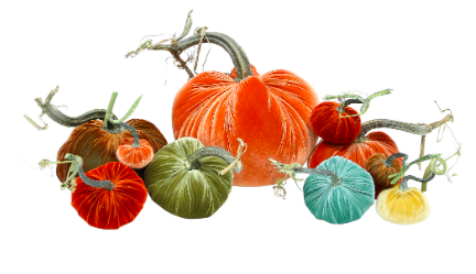 exclusive full harvest set