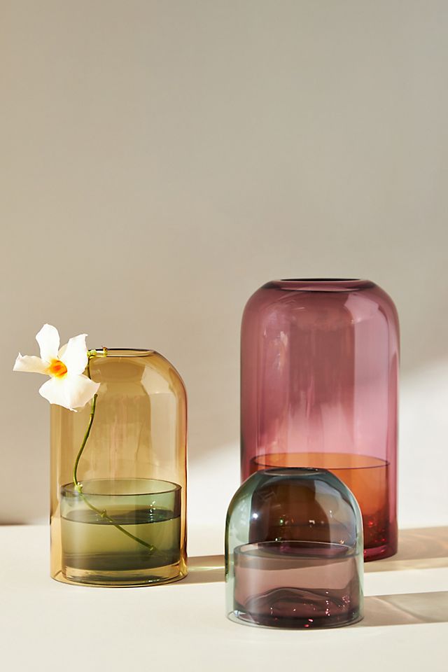 tinted glass cloche