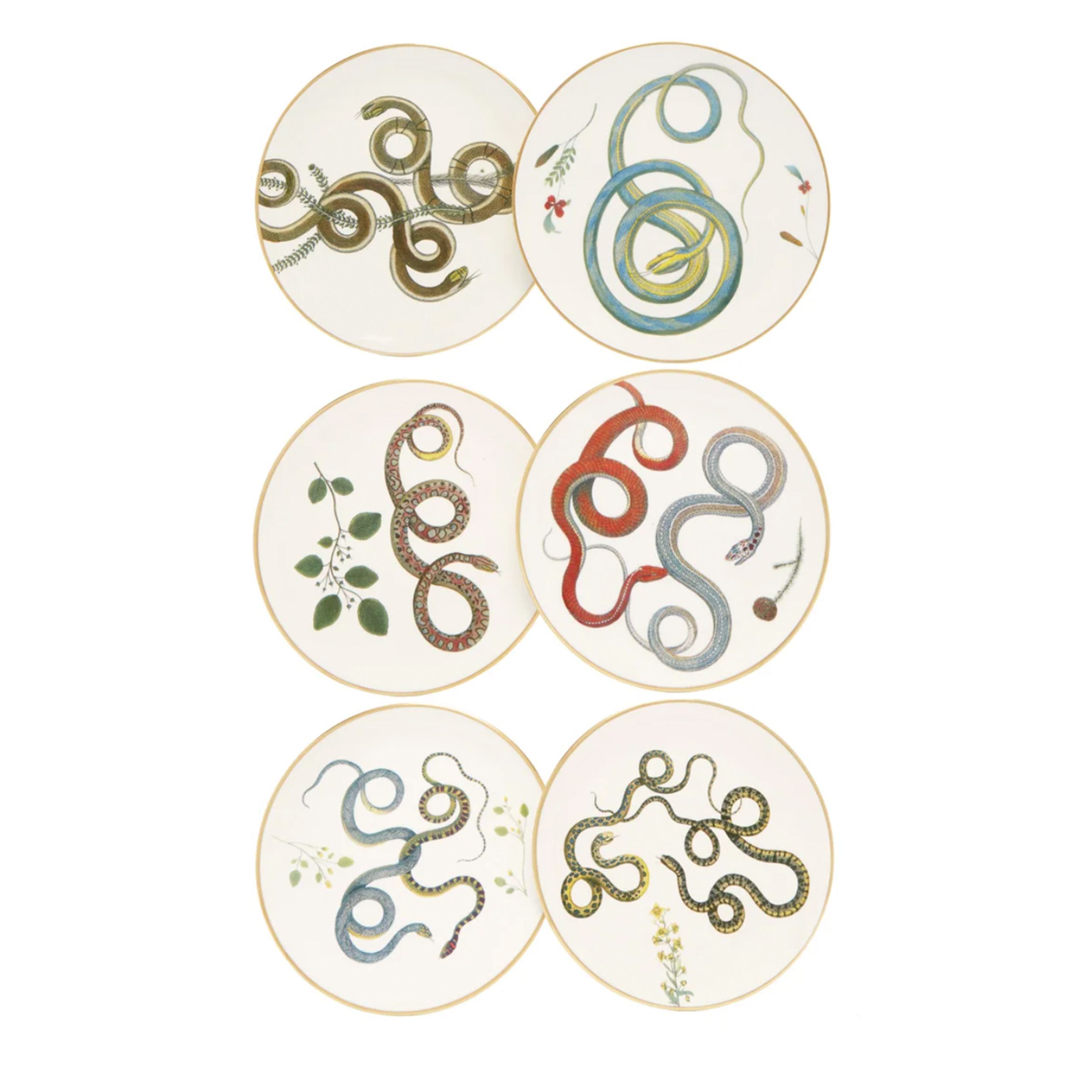 LABORATORIO PARAVICINI Set of six snake ceramic dessert plates