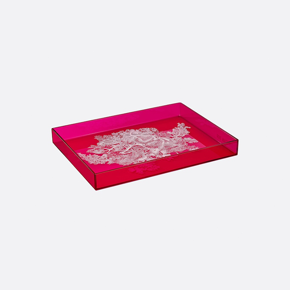 LARGE TRAY Dior