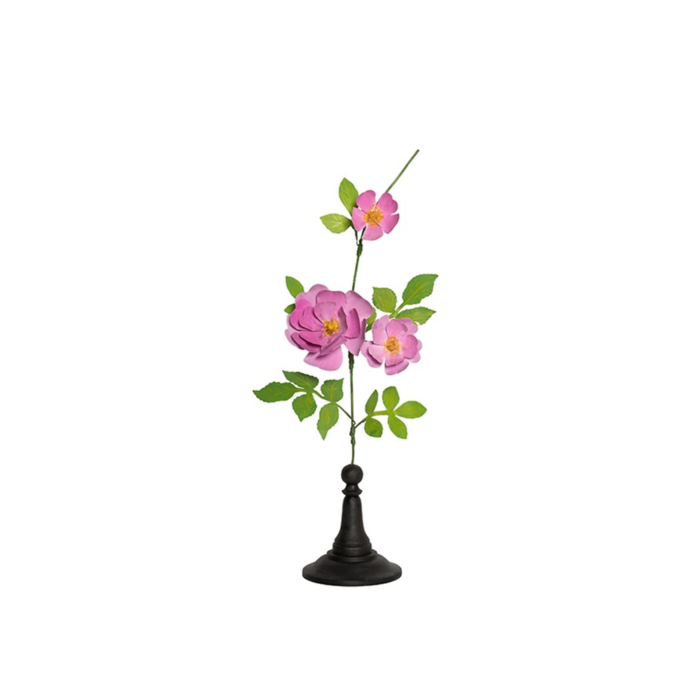 FUCHSIA BIG ROSE BRANCH