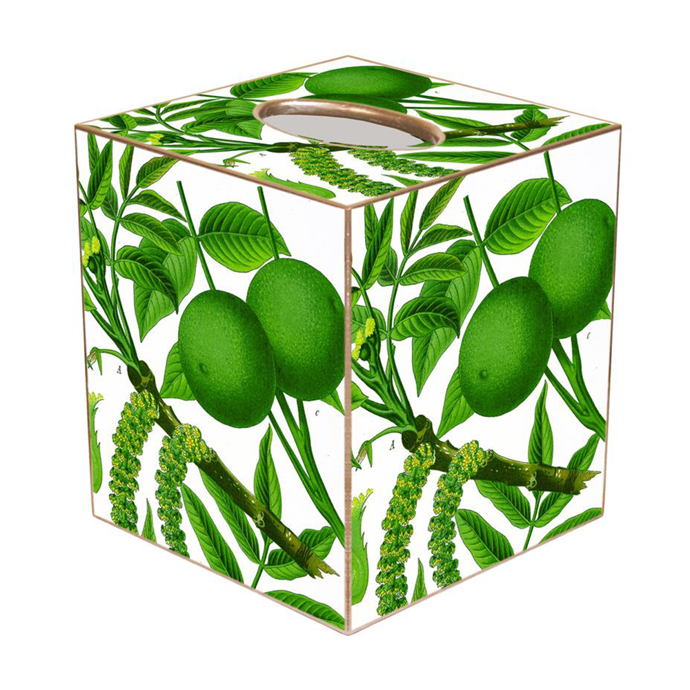 Limes on White Wastepaper Basket