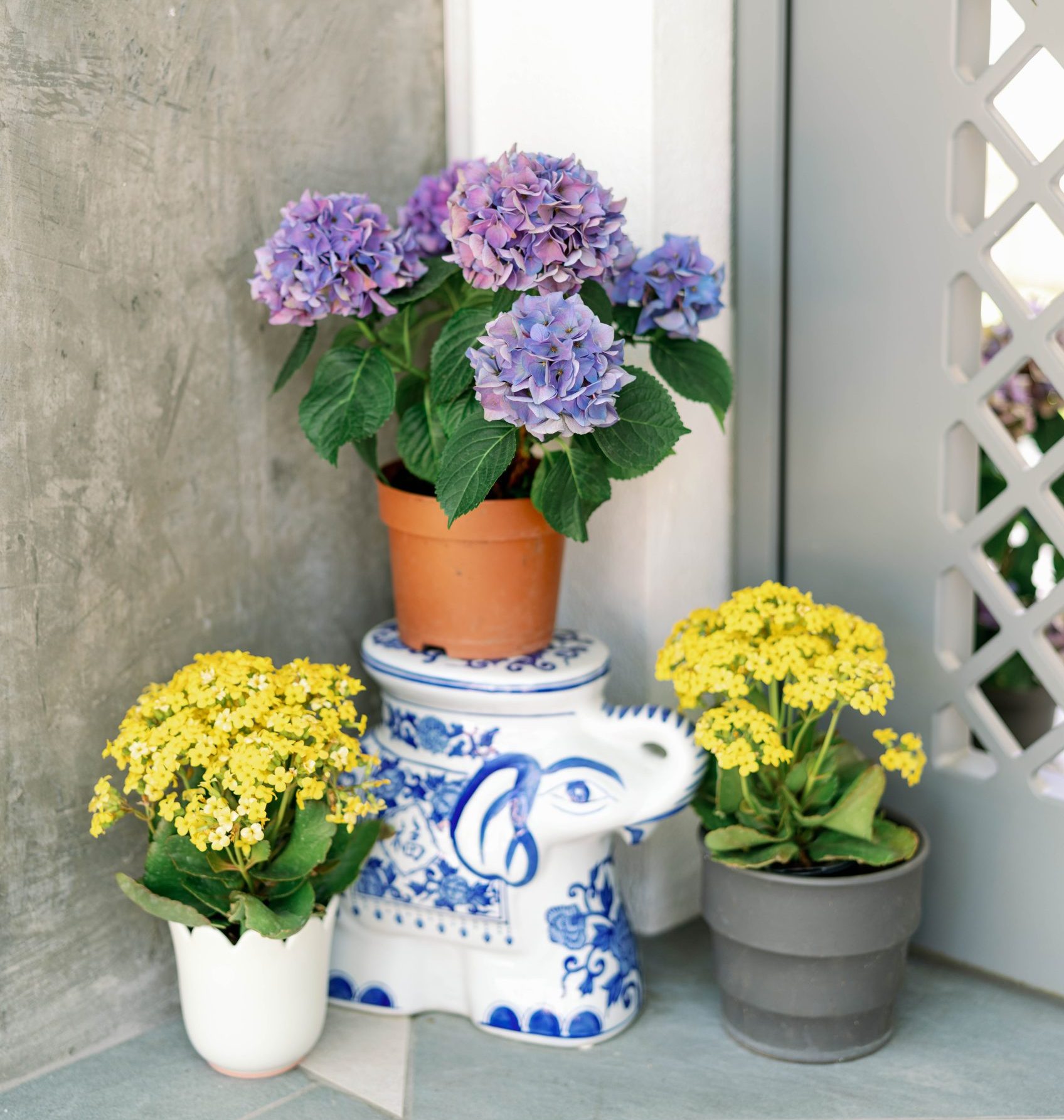 Flowers in various pots at a front door